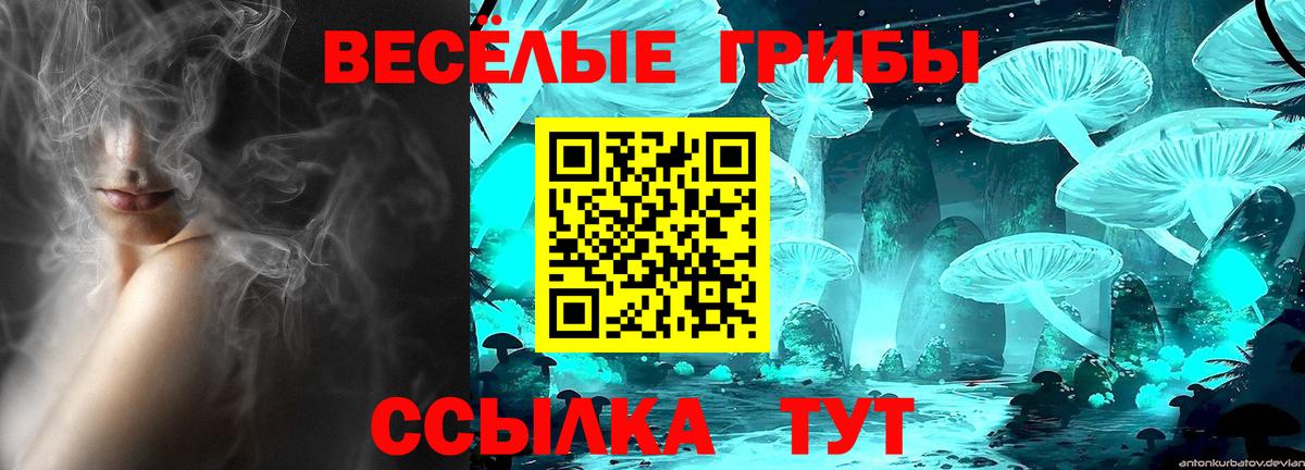 Псилоцибиновые грибы Psilocybe Энгельс