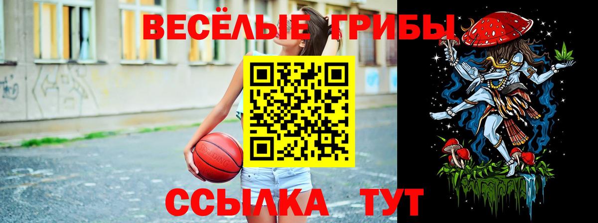 закладка  Галлюциногенные грибы Psilocybine cubensis  Вход с VPN  Энгельс 